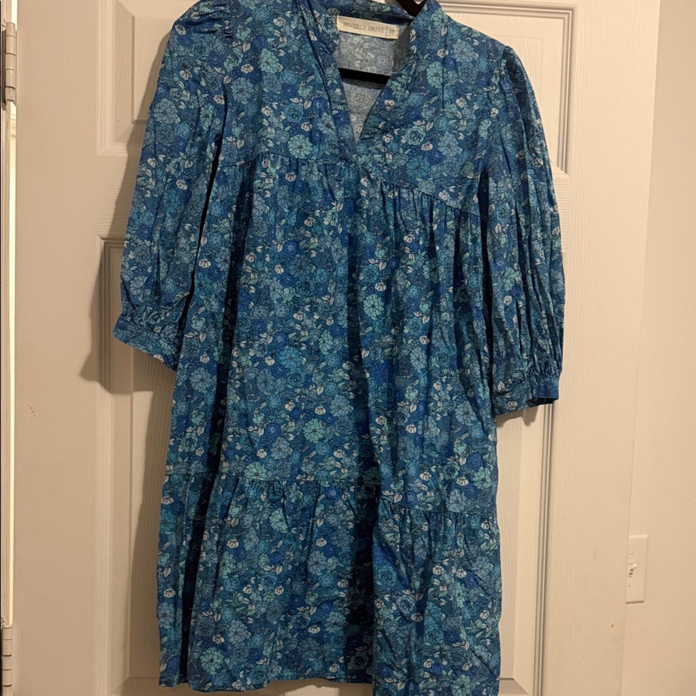 Beverly Drive Blue Floral dress